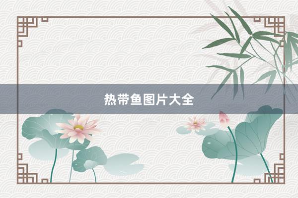 热带鱼图片大全