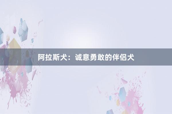 阿拉斯犬：诚意勇敢的伴侣犬